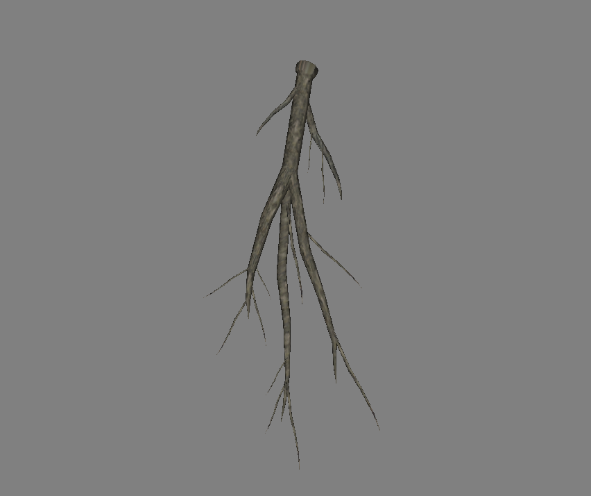 [Image: worm_root.png]